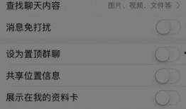 吃瓜qq群免费聊天记录网红,网红聊天记录背后的真实故事