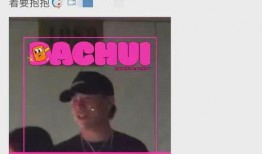 刘大锤爆料汪小菲视频,揭秘背后惊人真相