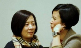 我靠吃瓜系统捧红娱乐圈,娱乐圈新晋明星崛起记