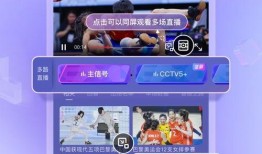 直播中央13台在线观看,尽享权威资讯与精彩节目