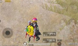 吃鸡最新皮肤爆料服饰币,服饰币助力潮流盛宴