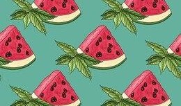 吃瓜素材视频大全免费无水印,吃瓜素材视频大全，轻松获取欢乐瞬间