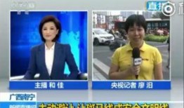 直播中央13台在线观看,尽享权威资讯与精彩节目