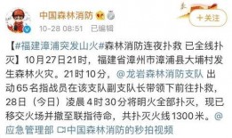 漳州最新爆料事件新闻视频