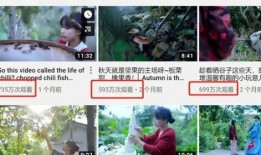 李子柒视频爆料,传统农耕与现代艺术的完美融合