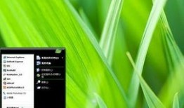 树叶最新爆料软件下载,揭秘软件下载界的秘密与趋势