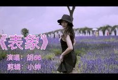 胡小姐最新爆料视频,事件真相再引热议