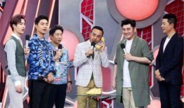 汪涵爆料儿子视频大全下载,温馨瞬间，亲子时光大盘点