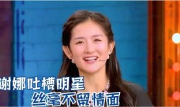 谢娜酒店爆料视频大全,揭秘明星私生活瞬间