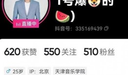 新瓜最新爆料快手直播,揭秘幕后故事与热门事件