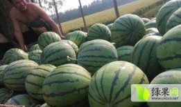 汾阳吃瓜最新事件爆料,揭秘背后惊人真相