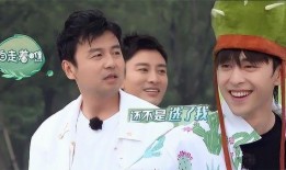 邓伦雷佳音最新爆料,揭秘娱乐圈幕后真相！