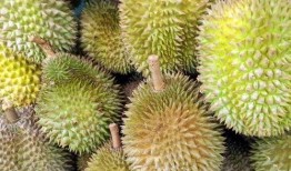 榴莲皮肤爆料视频下载,揭秘神秘新英雄的华丽蜕变