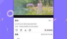 数码今日爆料视频下载,揭秘热门视频下载技巧与最新动态