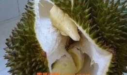 榴莲催熟爆料方法视频教程,视频教程教你轻松掌握催熟技巧