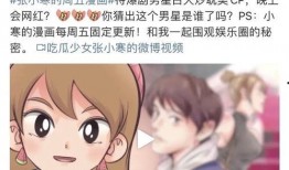 狗仔爆料流产视频播放在线观看,揭秘流产视频幕后真相，在线观看全程直播