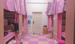 女生的宿舍在线观看,女生宿舍在线观看揭秘