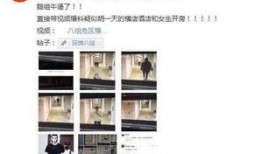 爆料新鲜视频在线观看,新鲜视频在线观看，精彩瞬间不容错过！