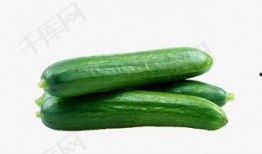 红名村庄吃瓜免费,免费吃瓜背后的神秘故事