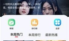 国内在线视频观看,流量密码揭秘