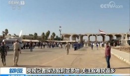 记者爆料叙利亚视频大全,记者爆料视频大全揭露残酷真相