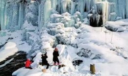 冰雪在线观看,在线观看，感受冬日童话魅力