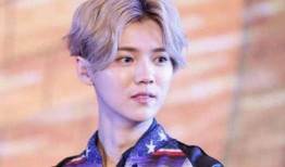 爆料鹿晗吵架视频,明星私下冲突引热议