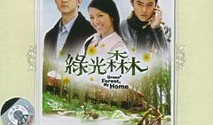 绿光森林 在线观看,探寻神秘森林的奇幻之旅