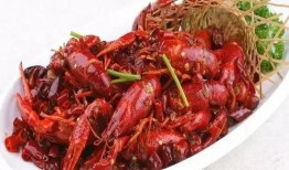 成都爆料小龙虾视频播放,视频播放引爆网络热议