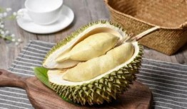 榴莲皮肤爆料视频下载,揭秘神秘新英雄的华丽蜕变