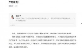 湖南女子爆料新闻报道最新,揭露惊人内幕，揭开真相面纱！