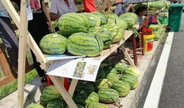 梁山网红景点吃瓜视频,揭秘幕后故事与热门话题