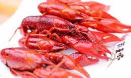 成都爆料小龙虾视频播放,视频播放引爆网络热议