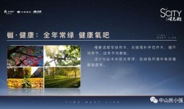 崩铁最新解包爆料,揭秘游戏内隐藏秘密与未来更新方向