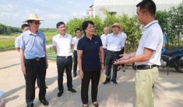 儋州爆料新闻,揭秘当地热点事件背后的真相