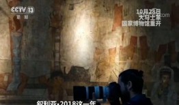 记者爆料叙利亚视频大全,记者爆料视频大全揭露残酷真相