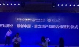 富力董事长爆料视频大全,独家爆料视频大全深度解析