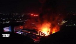 最新重庆火灾新闻爆料,多栋建筑受损，救援行动全力进行中