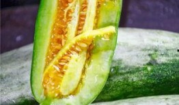 被吃瓜的网红是谁,揭秘背后真相