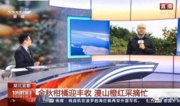 直播宜昌在线观看,全景呈现宜昌魅力瞬间