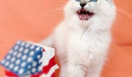 吃瓜萌主小仙女免费阅读,免费阅读，畅享欢乐时光