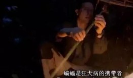 娱乐圈爆料黑历史是谁,揭秘那些不为人知的幕后真相