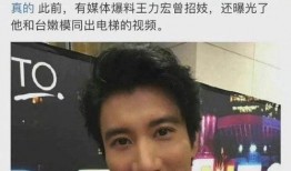 爆料视频王力宏在线观看,揭秘背后惊人真相