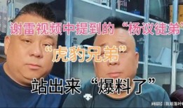 杨义徒弟爆料视频播放,揭秘幕后真相