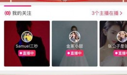 八卦主播最新爆料面条,面条背后的惊人真相！