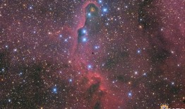 仰望星空真实爆料图片视频,独家爆料图片视频背后的真相