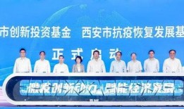 西安基金最新爆料新闻,揭秘项目进展与市场动态