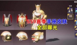 爆料最新ss9手册皮肤,皮肤生成背后的神秘力量