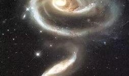 仰望星空真实爆料图片视频,独家爆料图片视频背后的真相