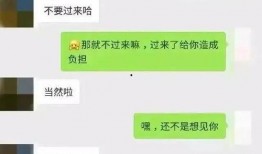 吃瓜qq群免费聊天记录网红,网红聊天记录背后的真实故事